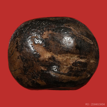 >>>..,ลูกกระดอนสะท้อนหลวงพ่อรุ่ง วัดท่ากระบือ น่ารัก