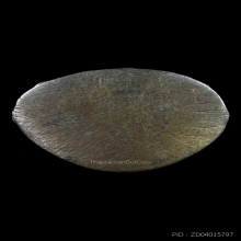 พระกริ่งสุตาธิการี หลวงพ่อทองอยู่ วัดหนองพระอง ปี2526 