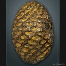 เบี้ยแก้ (เบี้ยไข่ทอง) หลวงปู่รอด วัดนายโรง