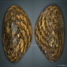 เบี้ยแก้ (เบี้ยไข่ทอง) หลวงปู่รอด วัดนายโรง