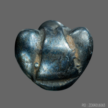 พระปิดตา หลวงปู่นาค วัดห้วยจระเข้ เนื้อเมฆพัตร ปี 2432