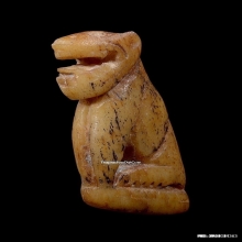 เสือหลวงพ่อสาย วัดคลองด่าน จ.สมุทรปราการ