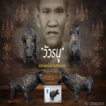 วัวธนูหลวงพ่อน้อยวัดศรีษะทอง ขนาดบูชาสวยเดิม