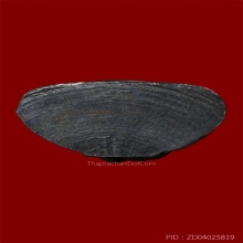 หลวงพ่อโสธร ปี08