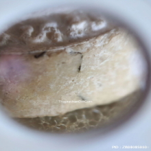 พระปิดตาหลังพระสังกัจจายน์ หลวงพ่อพรหม วัดขนอนเหนือ ปี 2527