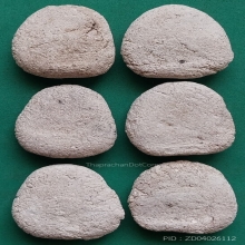 พระผงวัดใหม่ปากบาง จ.อยุธยา