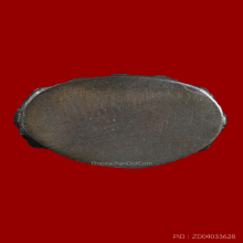 พระกริ่งบวรรังสี สมเด็จพระญาณสังวรฯ วัดบวรนิเวศวิหาร ปี 2528