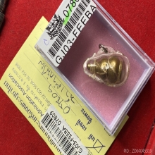 น้ำเต้ากันภัย กันไฟ กันฟ้า พระสังวรชุ่ม สวยเดิม