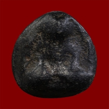 พระพิจิตร เม็ดน้อยหน่า