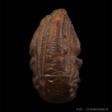 พระนางวัดจุฬามณี