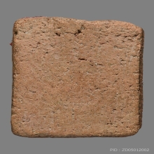 หลวงพ่อปาน นกสายบัว