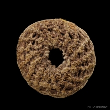 +บัตรสมาคม ตะกรุดพิสมรใบลานบังปืน หลวงพ่อแก้ว