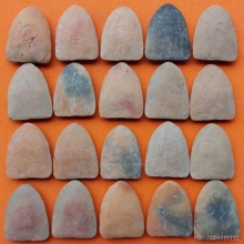 ลพ.โต ลป.ชู วัดนาคปรก ปี 2460 - 2472 ( ชุดที่ 1 )