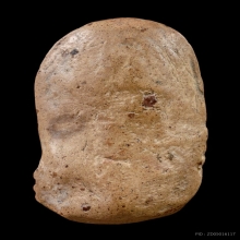 พระคงลำพูน 