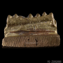 หลวงปู่ทวด วัดทุ่งไพล  อาจาร์นอง   ปี 2537 สร้าง 108 องค์