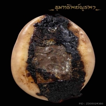 เบี้ยแก้ หลวงปู่คำ วัดโพธิ์ปล้ำ ติดที่ 1