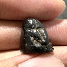 ปิดตาพิมพ์ปั้น ลพ.แก้ว  วัดปากทะเล เพชรบุรี