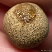 ลูกอมเนื้อน้ำตาลหลวงพ่อสงวน วัดไผ่พันมือ จ.สุพรรณบุรี