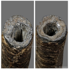 ตะกรุดหลวงปู่เอี่ยม วัดหนัง ( สวยๆ )