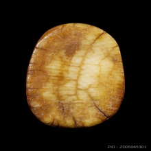 เสือตัวนี้เก่าจริง ( รับประกันเก่าแท้ 100% )