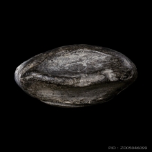 +บัตรการันตีพระ พระกริ่งคลองตะเคียน วัดประดู่ทรงธรรม