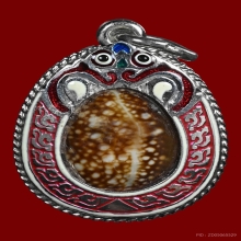 เบี้ยแก้หุ้มเงินลงยา หลวงปู่เจือ วัดกลางบางแก้ว