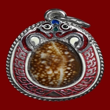 เบี้ยแก้หุ้มเงินลงยา หลวงปู่เจือ วัดกลางบางแก้ว