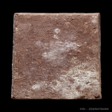 +บัตรสมาคม สมเด็จแก้กรรม ราหุล วัดประสาท