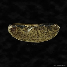 พระชัยสิงหเสนีย์ หลวงปู่ธูป น้ำทองสวยๆ