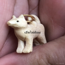 นักษัตร ปีจอ หลวงพ่อหอม วัดชากหมาก 1เดียวในวงการ