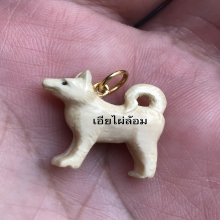 นักษัตร ปีจอ หลวงพ่อหอม วัดชากหมาก 1เดียวในวงการ