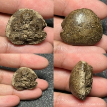 พระปิดตาหลวงจีน วัดท่าลาด พิมพ์เเข็งหมอนเล็ก