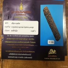 ตระกรุดหนังหน้าผากเสือ หลวงพ่อเต๋ ติดที่2 สมาคม นครศรี