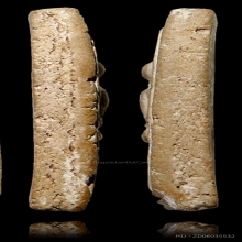 สมเด็จอรหัง กรุวัดมหาธาตุ 