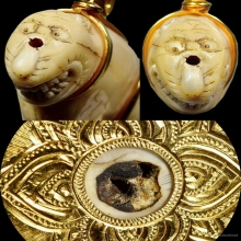 เขี้ยวเสือหลวงพ่อพัว วัดบางเดือน