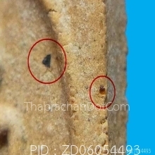 พระคะแนนหลังยันต์เฑาะว์หลวงปู่ทิมวัดละหารไร่