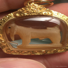 แพะหลวงพ่อลัด วัดหนองกระบอก ศีลป์บรามั่น โคตรแชมป์