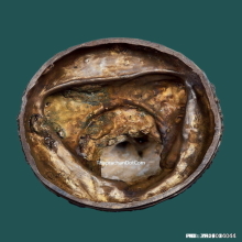 พระบูชา หลวงพ่อเกษม เขมโก สุสานไตรลักษณ์ ปี 37