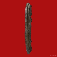 เหรียญหล่อหลวงปู่ศุข วัดปากคลองมะขามเฒ่า ปี2460-2465