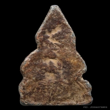 พระชัยวัฒน์เพชรกลับ ท่านเจ้ามา วัดสามปลื้ม 