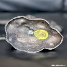 หนุมานเชิญธง หลวงพ่อเพี้ยน วัดเกริ่นกฐิน ปี 59