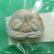 พระปิดตาหลวงปู่โต๊ะร่วมปลุกเสก