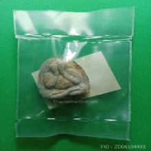 พระปิดตาหลวงปู่โต๊ะร่วมปลุกเสก