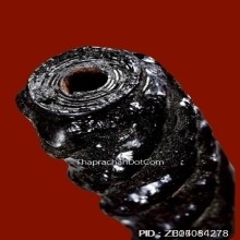 “ตะกรุดโทนสมเด็จพระนเรศวรมหาราช“ หลวงพ่อสมภพ วัดสาลีโข