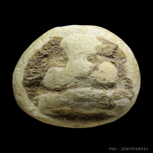 พระปิดตากรุวัดอัมพวา กรุงเทพฯ