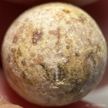 ลูกอมวัดคู้สลอด หลวงพ่อปาน วัดบางนมโค ปลุกเสก