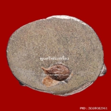 หนุมาน อมตฤทธิ์ ย้อนยุคหลวงปู่ทิม อิสริโก วัดละหารไร่