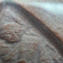 พระหางหมากเกศา 2 เส้นเลี่ยมเงิน หลวงพ่อฤาษีลิงดำ