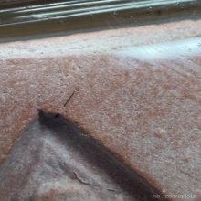 พระหางหมากเกศา 2 เส้นเลี่ยมเงิน หลวงพ่อฤาษีลิงดำ