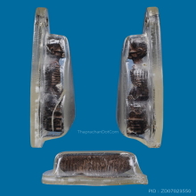 ๙ “สวยแชมป์+เลี่ยมเก่า” รูปหล่อกายสังขารลป.เดินหน เกสาโร ๙